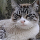 Carlos Alberto Batista da Silva