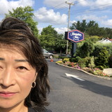 Regina Tomy sakamoto