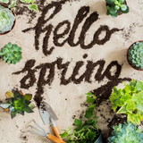 Adriana Lopes Da Costa