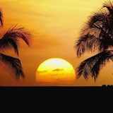 Darci Pereira Dos Santos