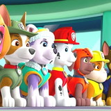 Kelley Juliane Florencio Borte