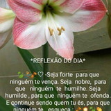 Agda Araújo de Almeida