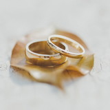 Vinicius Ferreira Pescarolo