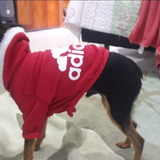 Orlando dos santos gouveia