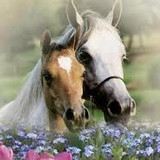 Daiana Lucas Martins