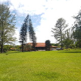 Bruna Gabriela Zanrosso Marcondes