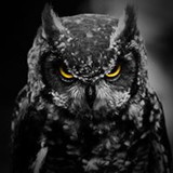 Alexandre Santos Modesto