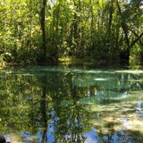 Lilian Paula de Oliveira Primon