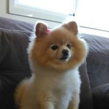 Edna Cericato Lanzoni