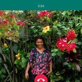 Sandra regina romao de souza