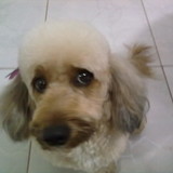 Maria Joseneide Angelo Magalhães