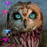 Teresa  Cristina Borges