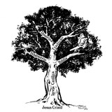 Carlos Fabiano da Silva