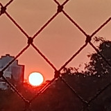 Elisangela Aparecida  Lima