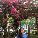 maria vitoria pereira de lima