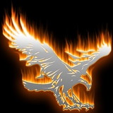 JASN Distribuidora Ltda