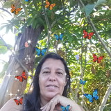 Silvana Marcia Pereira Feliz