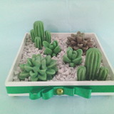 excluido_angela elisa zarling