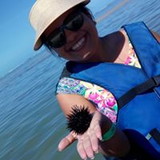 Noeli Avelino Sant Ana