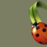 Márcia Soares Araujo de Souza