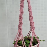 Vanessa Martinelli Flores