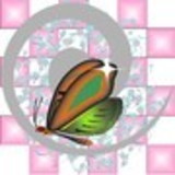 CAROLINE CASTELLANI CHAGAS DOS SANTOS