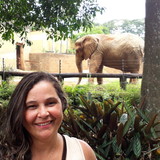 DEISE DUTTON RODRIGUES ALVES