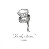 Ana Caroline Voltolini Terres