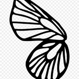 anne lucia nogueira moura