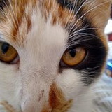 Patricia Garcia Espinosa