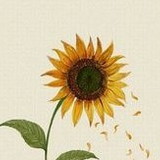 Mão na Massa de Concreto