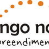 Pingo no i