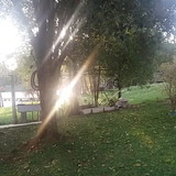 PATRICIA CRISTINA DA SILVA BARPP