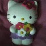 vanessa brasil bacci