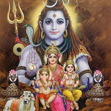 nicia maria gambardella do nscimento