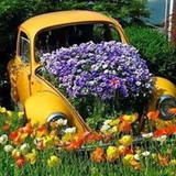 Lydia Felix Silva Oliveira