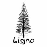 LIGNO store