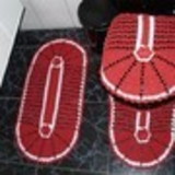 Shirlei Alves da Silva Souza