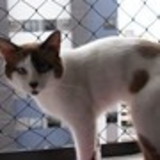 Ana Rita Moura de Souza