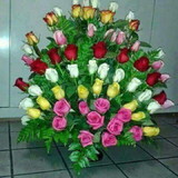 Mariá Silva dos Santos