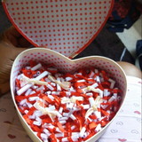 Camila Gomes de Jesus