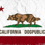 California Dog