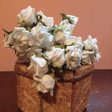 Maria Denise W. Roveri