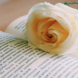 Mariana Frigeri Massoni Lima