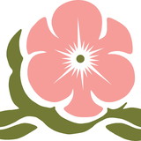 Izabel Cristina Leao Araujo