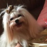 Telma Christiane Carvalho Siqueira Ribeiro