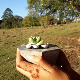 Artesanato dente de leão