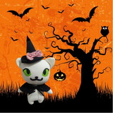 Graziéli Conceição Pinto