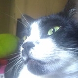 HK SERVIÇOS TERCEIRIZADOS LTDA