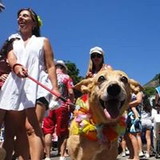 Debora Dias da Costa